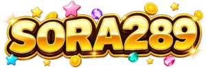 sora289 logo